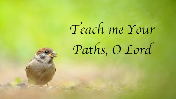 6-29-2025 (Teach me Your Paths).jpg